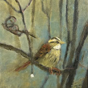 7204...8x8: oil on canvas: "house sparrow 1" w 26
