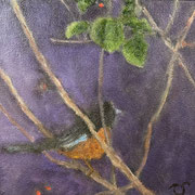 6734...8x8: oil on canvas: "robin" w 23