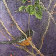 6734...8x8: oil on canvas: "robin" w 23