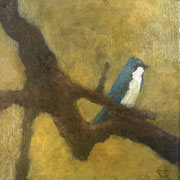 717...8x8: oil on canvas: "blue bird" f 25