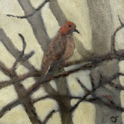 6680...8x8: oil on canvas: "dove" f 22