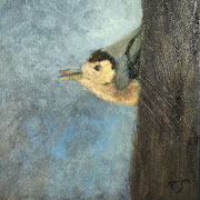 7058...8x8: oil on canvas: "nuthatch" w 25