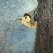 7058...8x8: oil on canvas: "nuthatch" w 25
