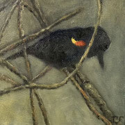 6739...8x8: oil on canvas: "red-winged blackbird" w 23