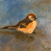 6442...8x8: oil on canvas: "sparrow" w 21