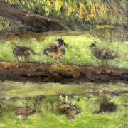 6901...8x8: oil on canvas: "3 ducks" f 23