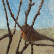 7086...8x8: oil on canvas: "house finch" sp25