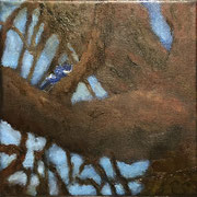 6256...8x8: oil on canvas: "blue jay" w 20