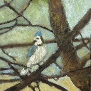 7279...8x8: oil on canvas: "blue jay" s 26