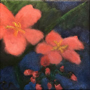 6281...8x8: oil on canvas: "pink flowers" w 20