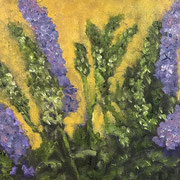 7209...8x8: oil on canvas: "speedwells" w 26