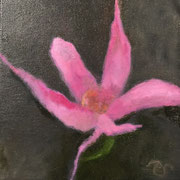 6525...8x8: oil on canvas: "orchid" f 21