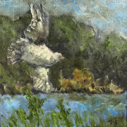 6870...8x8: oil on canvas: "gull" f 23