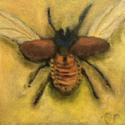 6284...8x8: oil on canvas: "xylotrupes gideon" sp 20