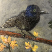 6595...8x8: oil on canvas: "grackle" sp 22