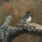 6557...8x8: oil on canvas: "junco" w 22