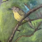 6745...8x8: oil on canvas: "yellow warbler" sp23