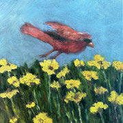 6821...8x8: oil on canvas: "backyard bird" s 23
