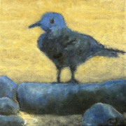 6737...8x8: oil on canvas: "gull" w 23