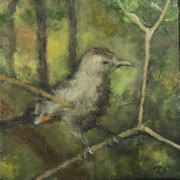 6622...8x8: oil on canvas: "catbird" s 22