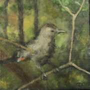 6622...8x8: oil on canvas: "catbird" s 22