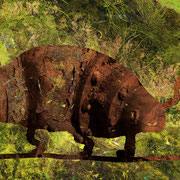 josef klingshirn...............stadtmikrobe im wald