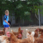 Rund ums Huhn auf dem Eschenhof