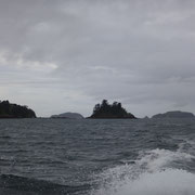 Rückfahrt zum Hafen von Auckland