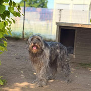 Frieda Frieda