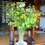 ８月１日　ルドベキアタカオ