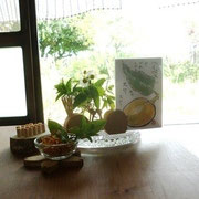 刻み陳皮