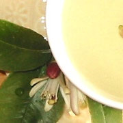 レモンの花茶