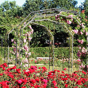 Freizeit rund um den Campingplatz - Camping Lörrach
