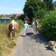 Inzwischen als Begleiterin auf vier Pfoten unterwegs: Nouky