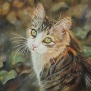 Katze (48x36), Pastell auf Hahnemühle Velourpapier