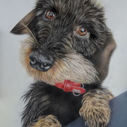 Patsy (A3, Bunstift)