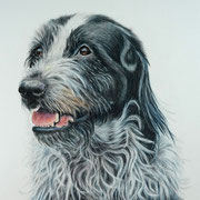 Kama, Buntstifte auf Hahnemühle Nostalgie (30x40)