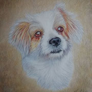 Lilly (25x25, Bunstift)