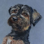 Curly (28x30, Bunstift)