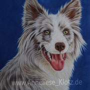 Pastell auf Velourpapier (48x36)