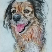 Benjamin (A4, Buntstift)