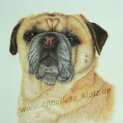 Willi (ca. 30x30) Bunstift auf Hahnemühle Nostalgie
