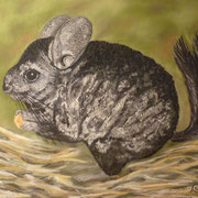 Pastell (60x50)