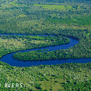 Der Rio Claro durchschlängelt das Pantanal in Mato Grosso (c) Lou Avers