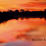 Sonnenaufgang und Morgenrot am Rio Claro - (c) Lou Avers