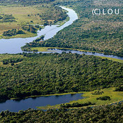 Der Rio Claro ist eine der Lebensadern des Pantanal matogrossense  (c) Lou Avers