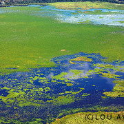 Das Pantanal in der Trockenzeit, einmal von oben mit Julinhos Cessna... - (c) Lou Avers