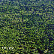 Regenwald Abschnitte des Pantanal  (c) Lou Avers
