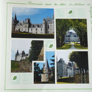 n°14