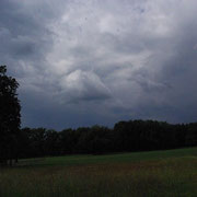 Kühl, 2 kurze Schauer, Sonne, Wind.